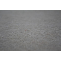 Dywan Wiatrołap Przedpokój Mocny Brąz 2m x 1.5m