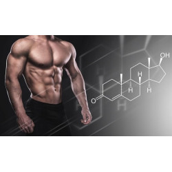 TREC TESTOXX BOOSTER TESTOSTERONU CYNK MACA ASHWAGANDHA TRIBULUS ŻEŃ-SZEŃ TREC TESTOXX BOOSTER TESTOSTERONU CYNK MACA ASHWAGANDHA TRIBULUS ŻEŃ-SZEŃ