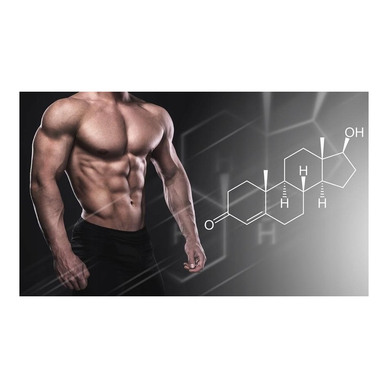 TREC TESTOXX BOOSTER TESTOSTERONU CYNK MACA ASHWAGANDHA TRIBULUS ŻEŃ-SZEŃ TREC TESTOXX BOOSTER TESTOSTERONU CYNK MACA ASHWAGANDHA TRIBULUS ŻEŃ-SZEŃ