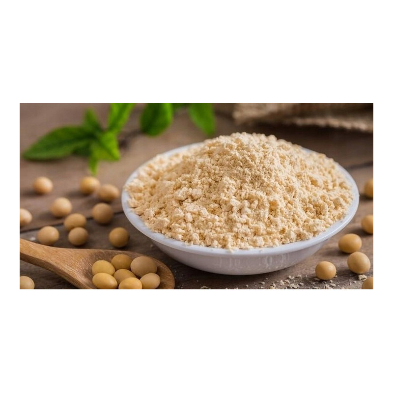 TREC SOY PROTEIN 750g BIAŁKO SOJOWE WPI WEGE AMINOKWASY BCAA EAA KARNITYNA
