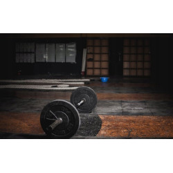 TREC CREATINE + 600g MONOHYDRATE NA MASĘ SIŁĘ WZMOCNIENIE WYDOLNOŚCI MONO TREC CREATINE + 600g MONOHYDRATE NA MASĘ SIŁĘ WZMOCNIENIE WYDOLNOŚCI MONO