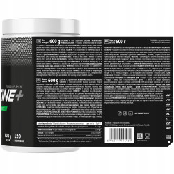 TREC CREATINE + 600g MONOHYDRATE NA MASĘ SIŁĘ WZMOCNIENIE WYDOLNOŚCI MONO TREC CREATINE + 600g MONOHYDRATE NA MASĘ SIŁĘ WZMOCNIENIE WYDOLNOŚCI MONO