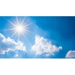 Best Fuel Vitamin D3 4000IU 100 kapsułek Softgels ODPORNOŚĆ ANEMIA CUKRZYCA