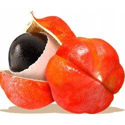 ESSENSEY GUARANA + KOFEINA 90cap MOCNY EXTRAKT POBUDZENIE SKUPIENIE MOC