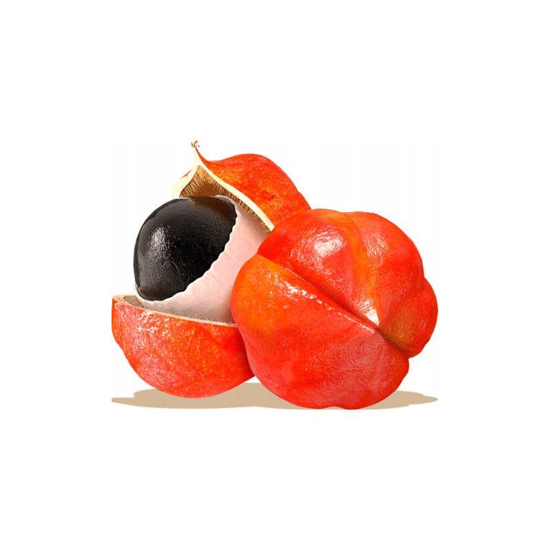 ESSENSEY GUARANA + KOFEINA 90cap MOCNY EXTRAKT POBUDZENIE SKUPIENIE MOC