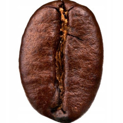 ESSENSEY GUARANA + KOFEINA 90cap MOCNY EXTRAKT POBUDZENIE SKUPIENIE MOC