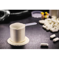 ACTIVLAB ZESTAW BIAŁKO KREATYNA MASA CREATINE WPC WHEY BCAA SŁONY KARMEL ACTIVLAB ZESTAW BIAŁKO KREATYNA MASA CREATINE WPC WHEY BCAA SŁONY KARMEL