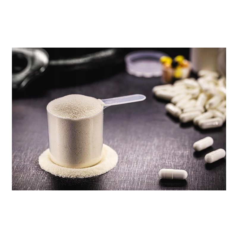 ACTIVLAB ZESTAW BIAŁKO KREATYNA MASA CREATINE WPC WHEY BCAA SŁONY KARMEL ACTIVLAB ZESTAW BIAŁKO KREATYNA MASA CREATINE WPC WHEY BCAA SŁONY KARMEL