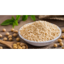 TREC SOY PROTEIN 750g BIAŁKO SOJOWE WPI WEGE AMINOKWASY BCAA EAA KARNITYNA