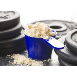 ACTIVLAB WHEY PROTEIN WPC BIAŁKO SERWATKOWE MASA SIŁA KONCENTRAT AMINOKWASY