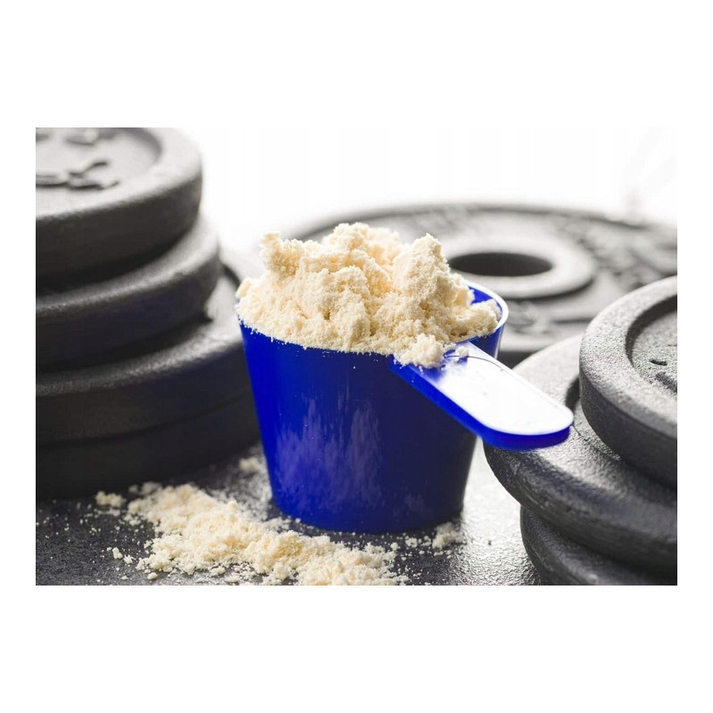 ACTIVLAB WHEY PROTEIN WPC BIAŁKO SERWATKOWE MASA SIŁA KONCENTRAT AMINOKWASY