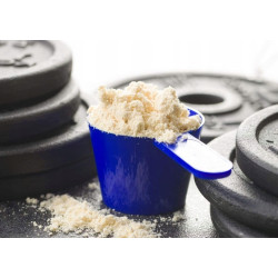 ACTIVLAB WHEY PROTEIN WPC BIAŁKO SERWATKOWE MASA SIŁA KONCENTRAT AMINOKWASY