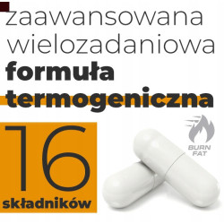AMIX THERMOLEAN BOX SPALACZ TŁUSZCZU THERMO