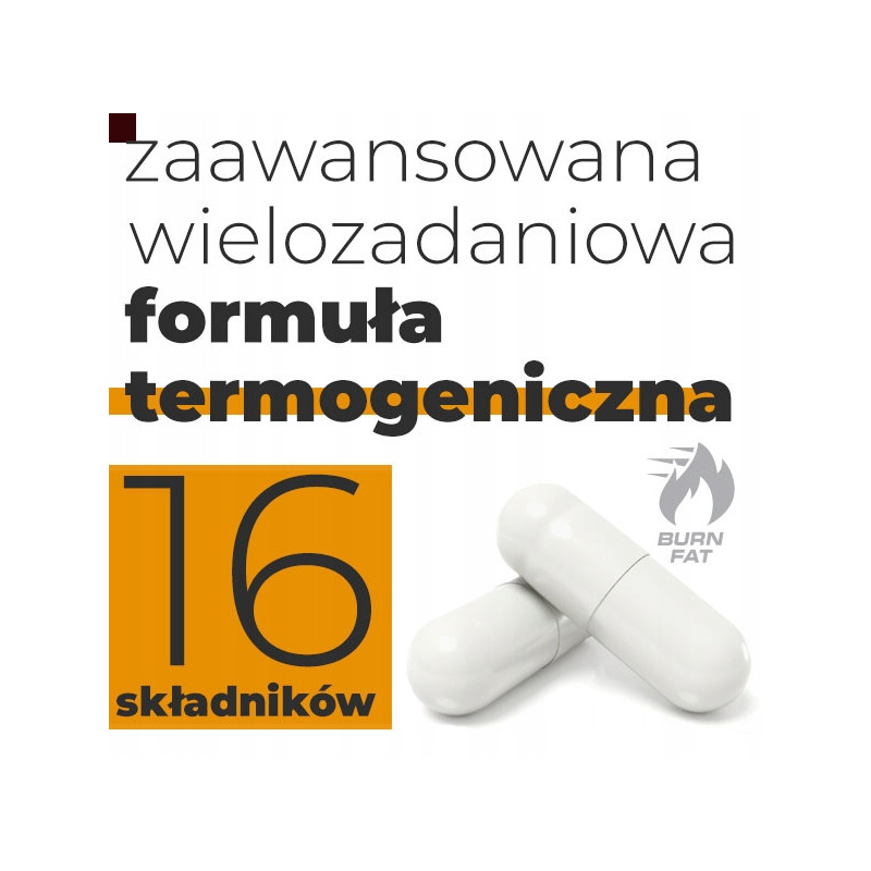 AMIX THERMOLEAN BOX SPALACZ TŁUSZCZU THERMO