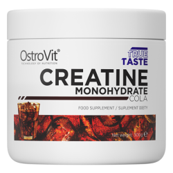 OstroVit Monohydrat Kreatyny 300 g OstroVit Monohydrat Kreatyny 300 g