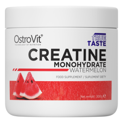 OstroVit Monohydrat Kreatyny 300 g OstroVit Monohydrat Kreatyny 300 g
