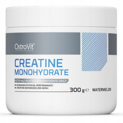 OstroVit Monohydrat Kreatyny 300 g OstroVit Monohydrat Kreatyny 300 g