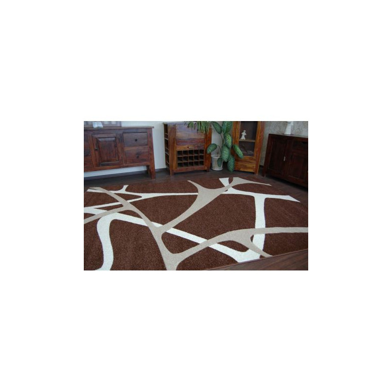 Dywan PILLY 7777 - brąz 120x170cm Dywan PILLY 7777 - brąz 120x170cm