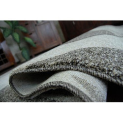 Dywan SHADOW 8594 brown / light beige 120x170cm