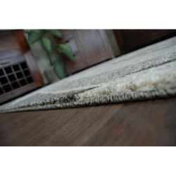 Dywan SHADOW 8594 brown / light beige 120x170cm