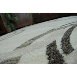 Dywan SHADOW 8645 cream / light beige 120x170cm