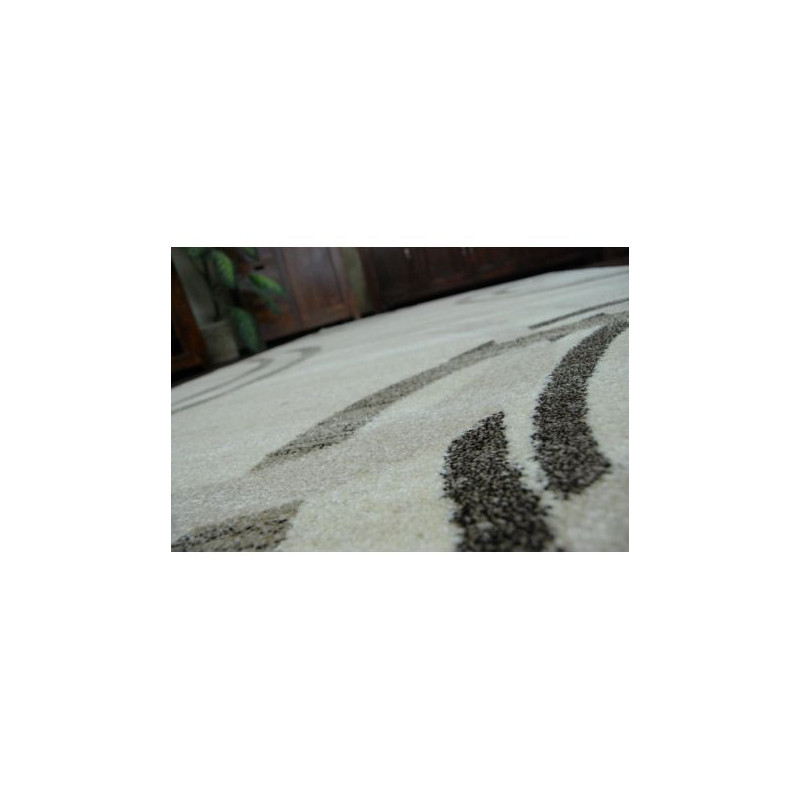 Dywan SHADOW 8645 cream / light beige 120x170cm