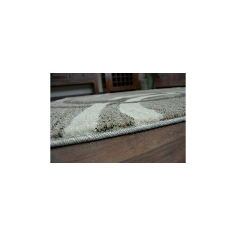 Dywan SHADOW 8645 dark beige / brown 120x170cm Dywan SHADOW 8645 dark beige / brown 120x170cm