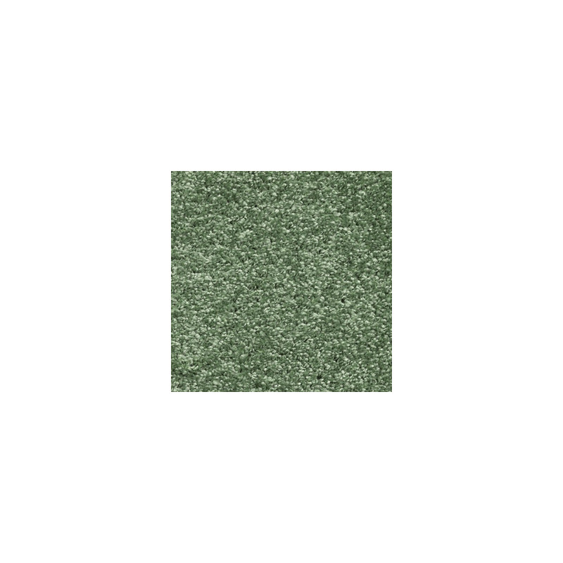 DYWAN SHAGGY Intens Muse 23 ZIELONY OBSZYTY MIĘKKI DO SALONU 400x300cm DYWAN SHAGGY Intens Muse 23 ZIELONY OBSZYTY MIĘKKI DO SALONU 400x300cm