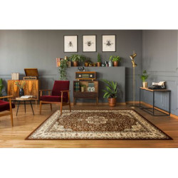 Dywan ROYAL AGY wzór 0521 brązowy 300x400cm Dywan ROYAL AGY wzór 0521 brązowy 300x400cm