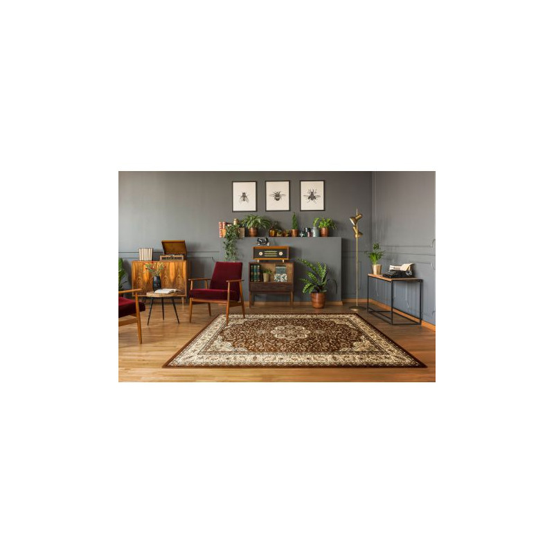 Dywan ROYAL AGY wzór 0521 brązowy 200x290cm Dywan ROYAL AGY wzór 0521 brązowy 200x290cm