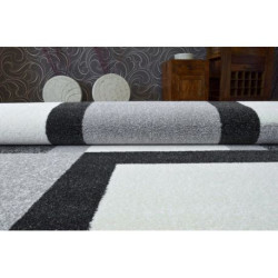 Dywan SHADOW 8620 white 120x170cm