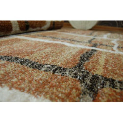 Dywan SHADOW 9359 rust / cream 180x270cm