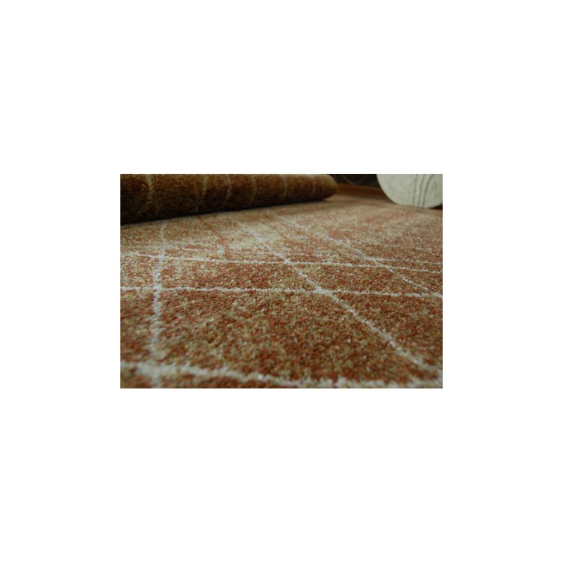 Dywan SHADOW 9367 rust / gold 140x190cm Dywan SHADOW 9367 rust / gold 140x190cm