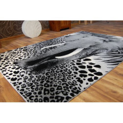 Dywan BCF FLASH 33293/170 120x170cm