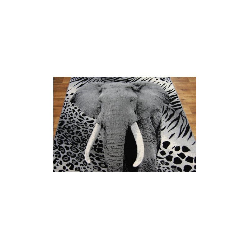 Dywan BCF FLASH 33293/170 120x170cm Dywan BCF FLASH 33293/170 120x170cm