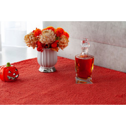 DYWAN SHAGGY Intens Muse 120 CZERWONY RED OBSZYTY MIĘKKI DO SALONU 50x60 DYWAN SHAGGY Intens Muse 120 CZERWONY RED OBSZYTY MIĘKKI DO SALONU 50x60