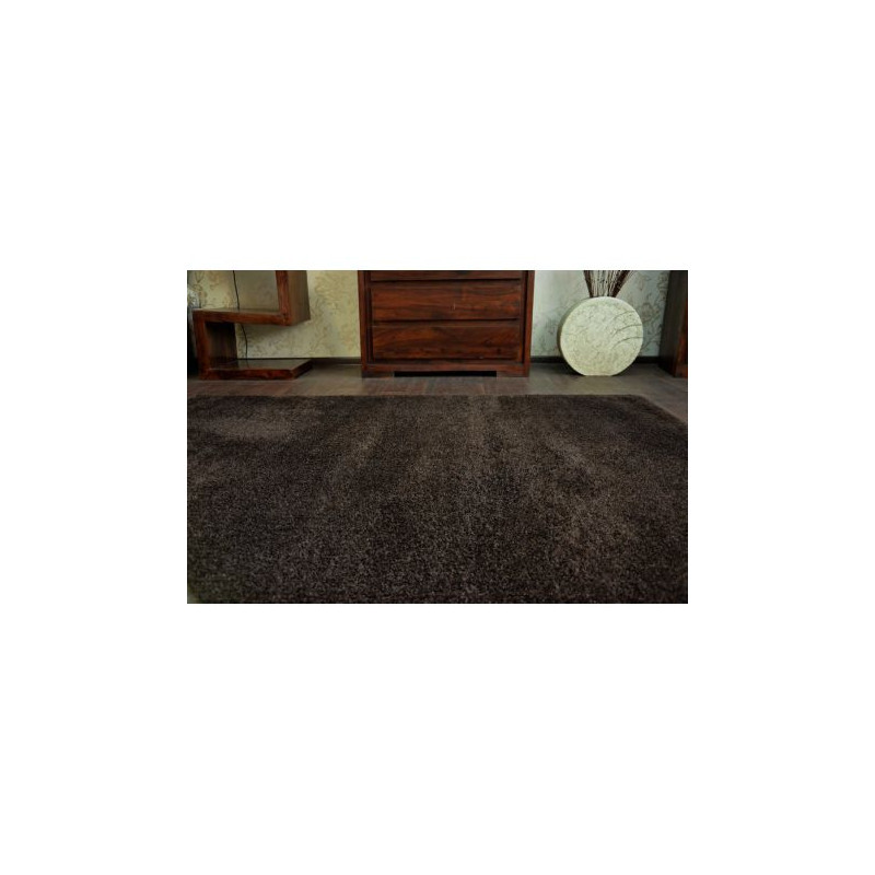 Dywan SHAGGY MICRO brąz 120x170cm Dywan SHAGGY MICRO brąz 120x170cm