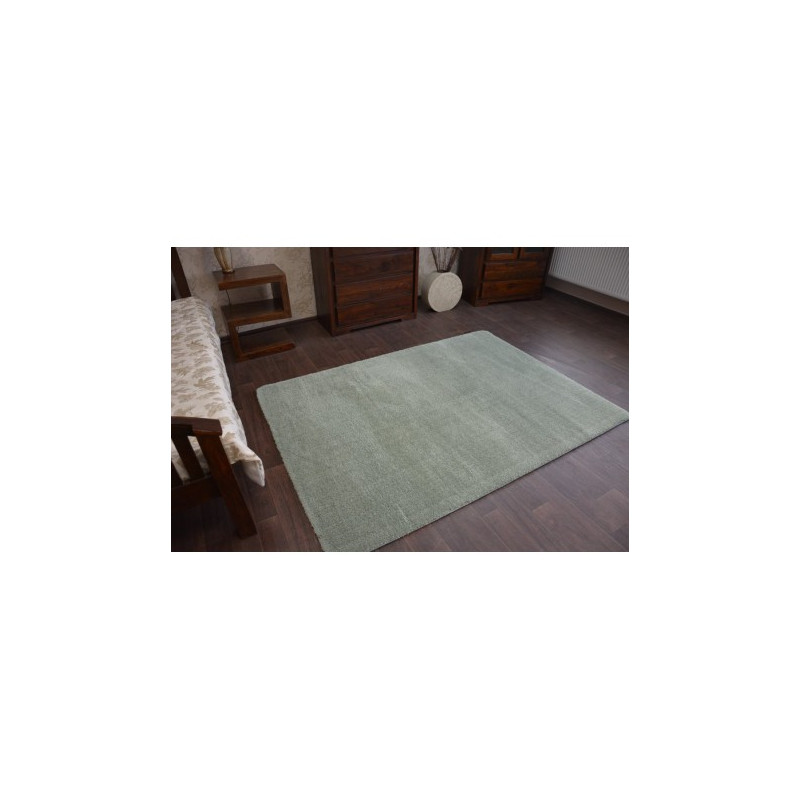Dywan SHAGGY MICRO zieleń 240x330cm