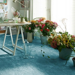 DYWAN SHAGGY Intens Muse 73 TURKUS OBSZYTY MIĘKKI DO SALONU 350x450cm DYWAN SHAGGY Intens Muse 73 TURKUS OBSZYTY MIĘKKI DO SALONU 350x450cm