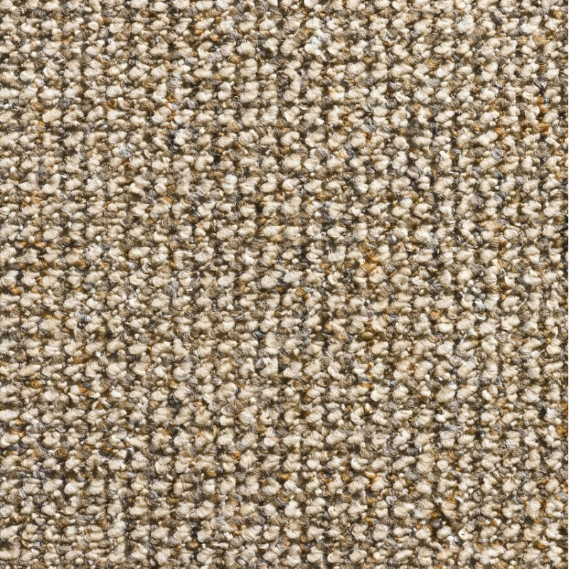 Dywan Pętelka Herkules Mocny 3 kolory 300x400 cm
