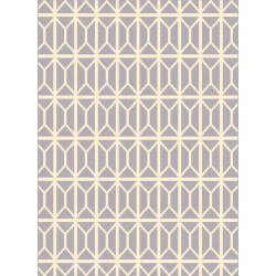 Dywan FD Białystok FUNKY TOP ISA grey 120x160