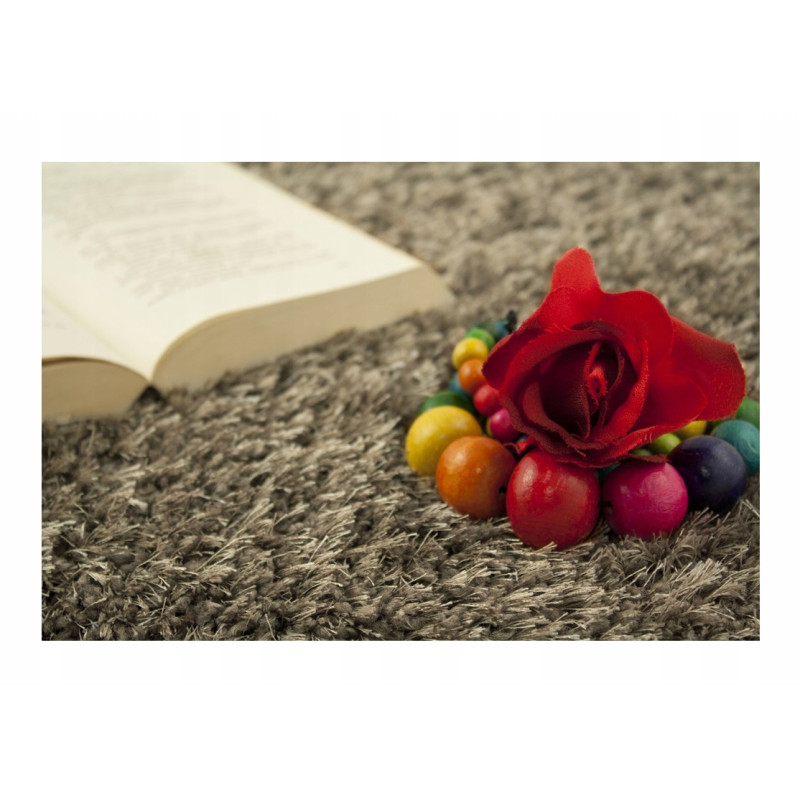 Dywan Shaggy Carnival 40 j. brąz 80x150cm 24h XML