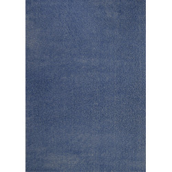 DYWAN DYWILAN DELICATE 9000 200 X 290 DARK BLUE