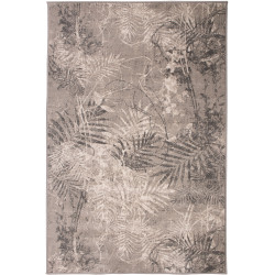 Dywan Anny 33039/160 118x170cm