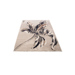 Dywan Anny 33034/160 95x150cm Dywan Anny 33034/160 95x150cm