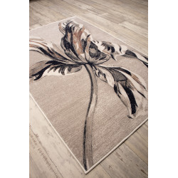 Dywan Anny 33034/160 155x230cm
