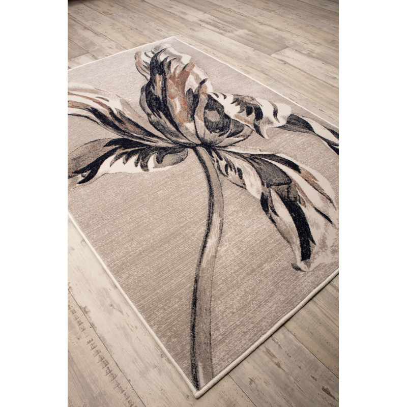 Dywan Anny 33034/160 155x230cm