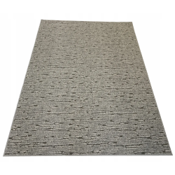 Nowoczesny Dywan 150x200 SOHO SHARK 167 MIĘKKI
