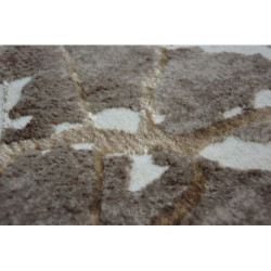 Dywan VOGUE 479 L.beige 200x290cm Dywan VOGUE 479 L.beige 200x290cm
