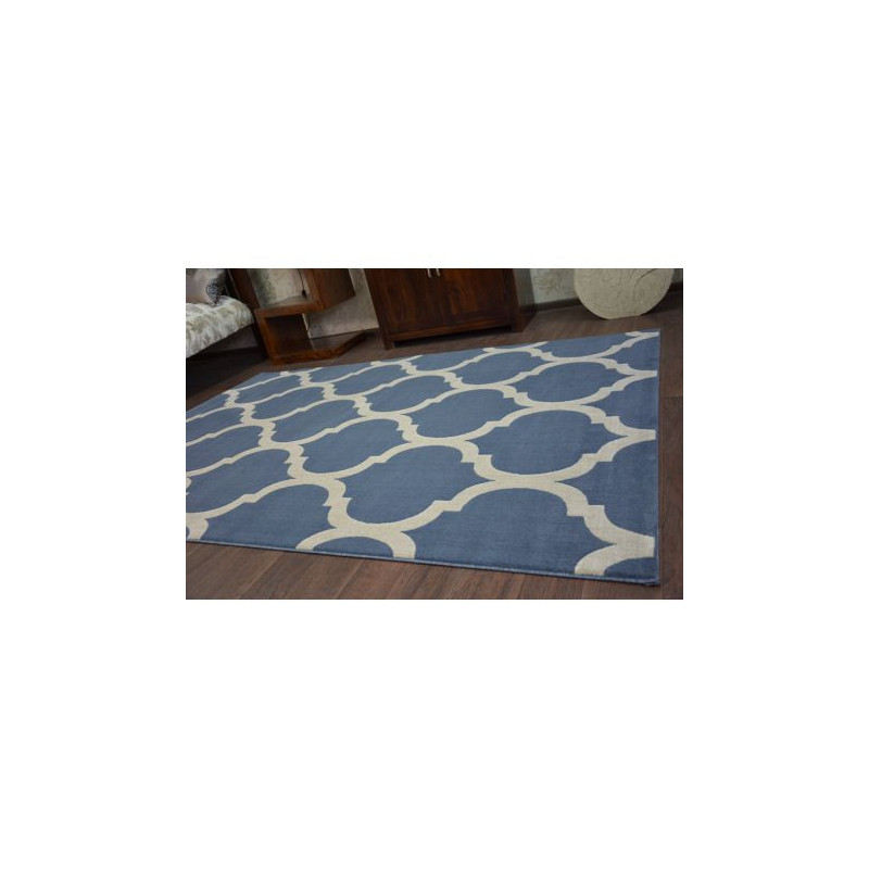 Dywan SCANDI 18218/591 - TRELLIS 120x170cm